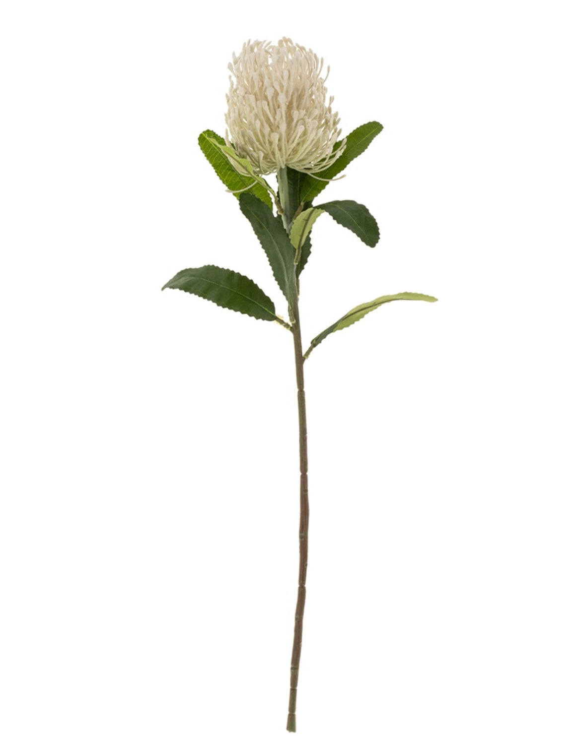 Indaba Pin Cushion Floral Stem, White - 1-0354