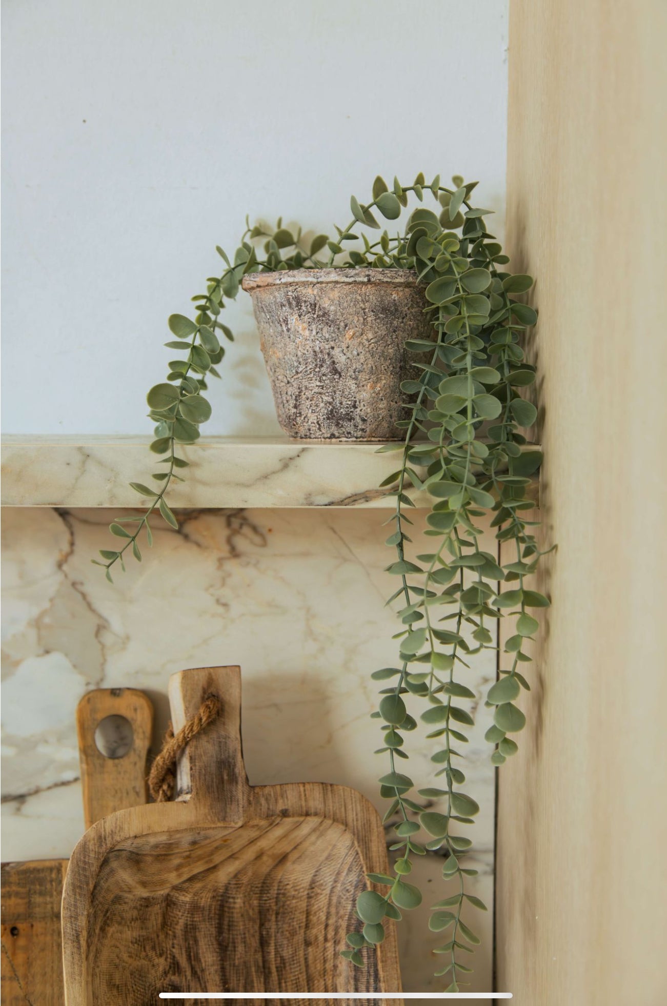 Concrete pot