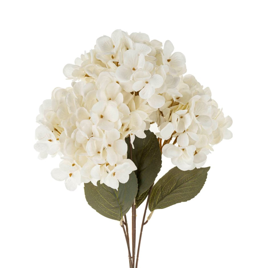 Hydrangea Floral Display