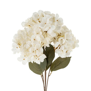 Hydrangea Floral Display