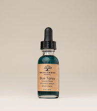 Load image into Gallery viewer, Blue Tansy Face Serum - Bridlewood Soaps
