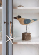 Load image into Gallery viewer, COASTAL BLUE - 50G - FUSION MILK PAINT
