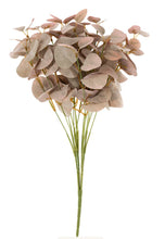 Load image into Gallery viewer, Plum Eucalyptus Spray - 1-0359
