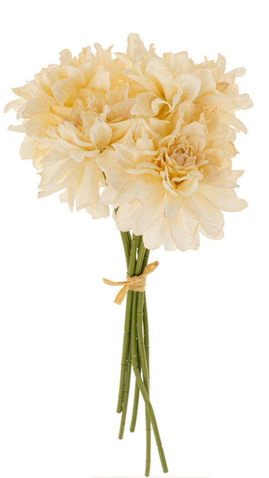 Dahlia Flower Bouquet, Champagne 1-0533