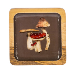 Mushroom Tray