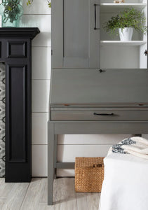GOTHAM GREY - 50G - FUSION MILK PAINT