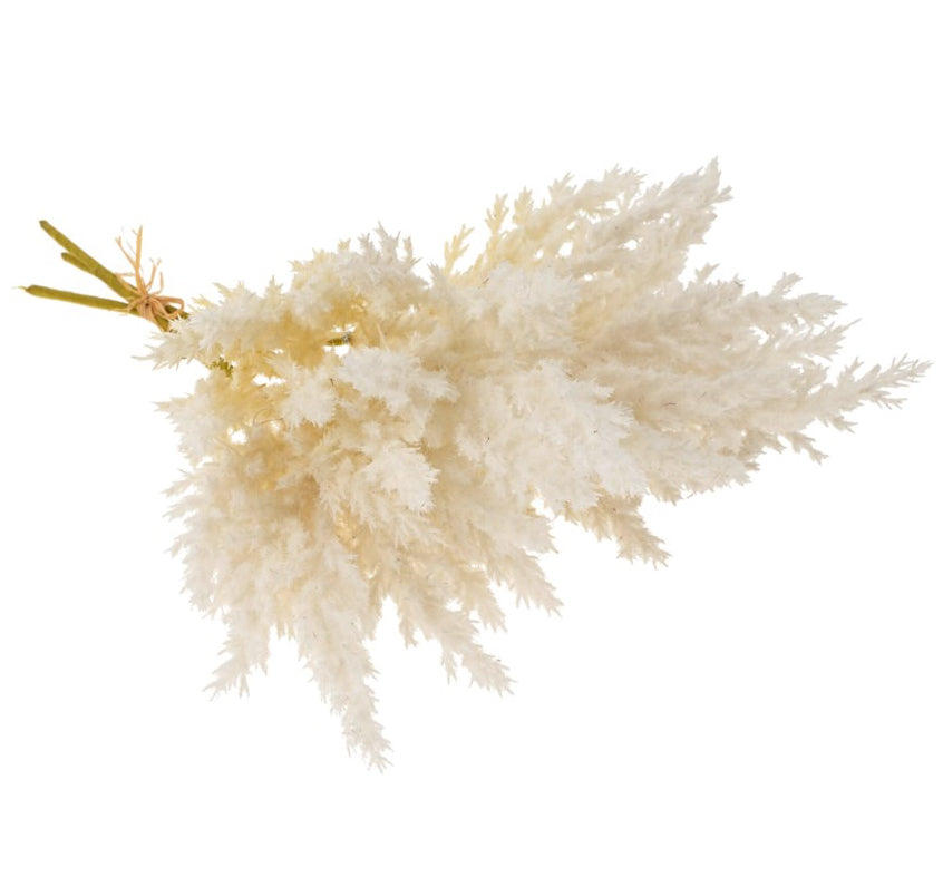 Pampas Grass Bundle, White