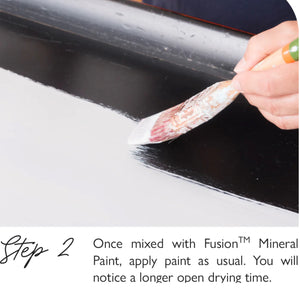 FUSION PAINT EXTENDER