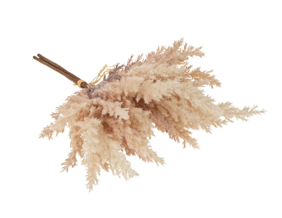 Pampas Grass Bundle, Blush