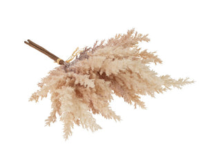 Pampas Grass Bundle, Blush