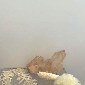 Pink Crystal Bunch