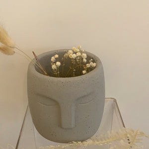 Grey Face Planter