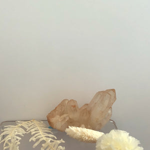 Pink Crystal Bunch