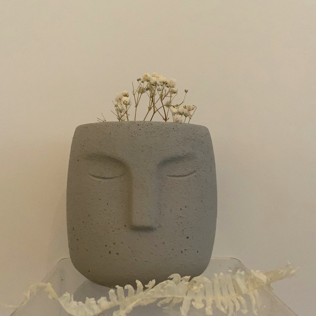 Grey Face Planter