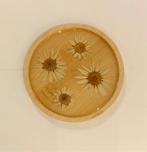Little Pretty Coasters