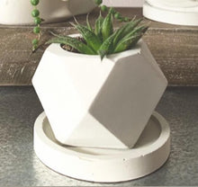 Load image into Gallery viewer, Mini Planters
