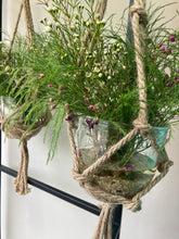 Load image into Gallery viewer, Stones - Decorative for Plants Pots

