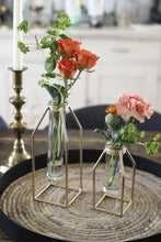 Load image into Gallery viewer, GOLD IRON STAND W TUBE GLASS
