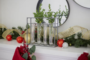Metal Frame Vases