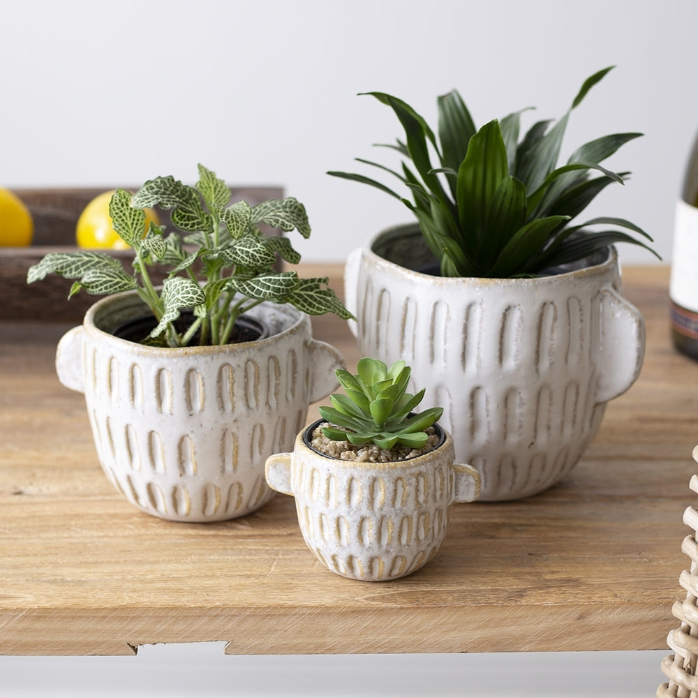 Pot w/handles